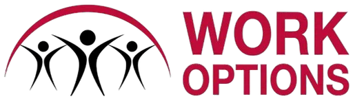 Work Options for Women logo