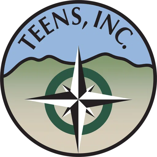 Teens Inc logo