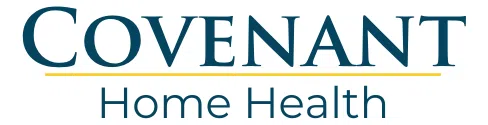 Home Health Care Inc logo