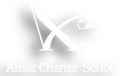 Anser of Idaho Inc logo