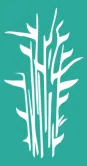 Utah Friends of Amar International Charitable Foundation logo