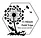15 Minute Field Trips logo
