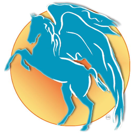 A Chance of a Lifetime logo
