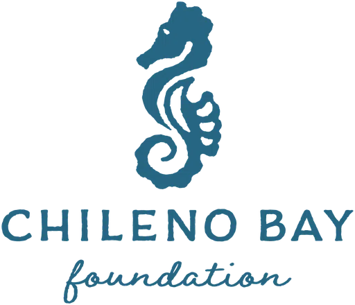 Chileno Bay Foundation Inc logo