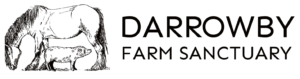Darrowby Farm Sanctuary logo