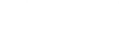 Bright Spot Network logo