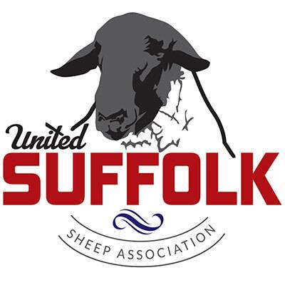 United Suffolk Sheep Foundation logo