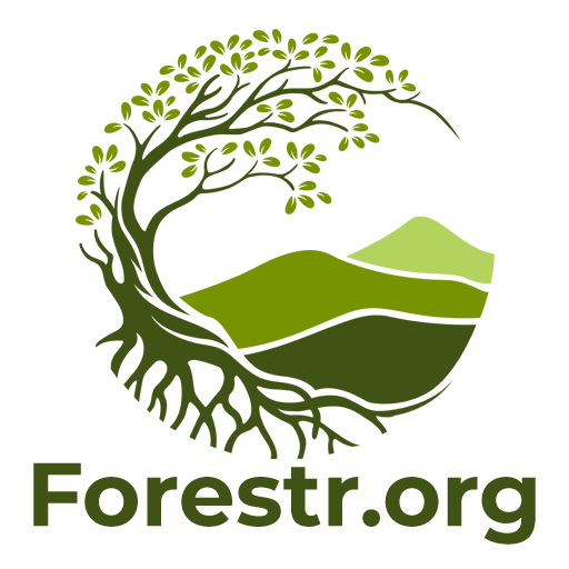Forestr Organization logo