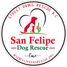 SFDR San Felipe Dog Rescue logo