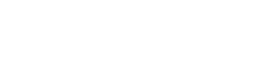 Sent Institute for Entrepreneurship logo
