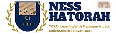 Ness Hatorah Organization Inc logo