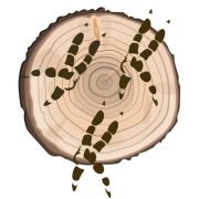 Tidewater Rehabilitation & Environmental Education logo