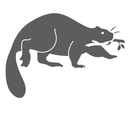 The Beaver Coalition logo