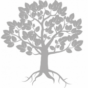 Credit Unions Chartered in the State of Colorado logo