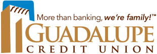 Credit Unions in the State of New Mexico logo