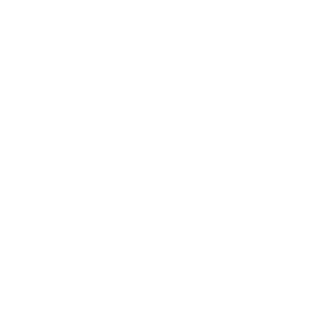 Border Area Mental Health Services logo