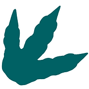 New Mexico Museum of Natural History Foundation logo