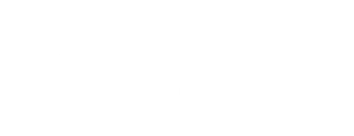 New Mexico School for the Blind and Visually Impaired Foundation logo