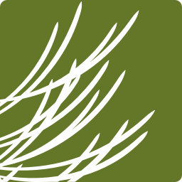 Santa Fe Community Foundation logo