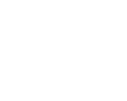 Court Appointed Special Advocates First Judicial District logo