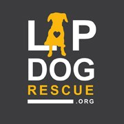 LAP Dog Rescue of New Mexico logo