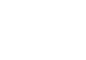Tampa Bay Area Committee on Foreign Relations Inc logo