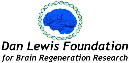 Dan Lewis Foundation for Brain Regeneration Research logo