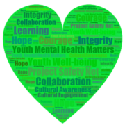 Project Safety Net logo