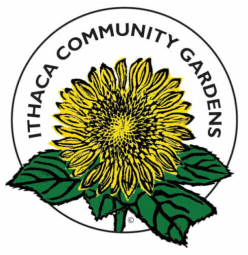 Ithaca Community Gardens Inc logo