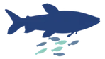 Fish Welfare Initiative logo