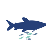 Fish Welfare Initiative logo