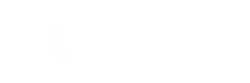 Delaware Black Chamber of Commerce logo