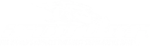 Iron Dog Race logo