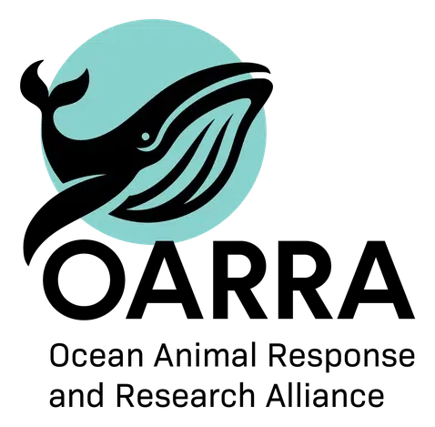 Ocean Animal Response and Research Alliance logo