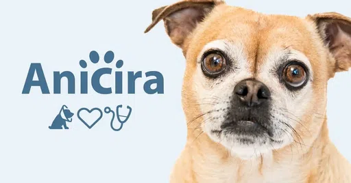 Anicira Veterinary Center logo