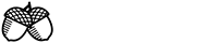 Raleigh Testicular Cancer Foundation logo