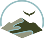 Veterans Victory Alliance logo
