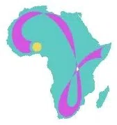 Yemanja Cancer Care Initiative Inc logo