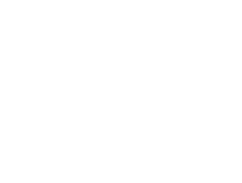 Little Mountain Forest School logo