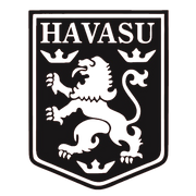 Lake Havasu Soccer League logo