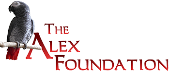 The Alex Foundation Inc logo