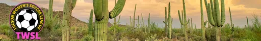 Tucson Womens Soccer League logo