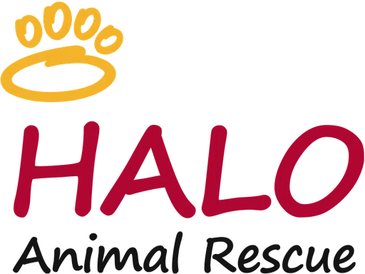 H a L O logo