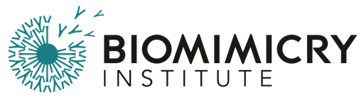 The Biomimicry Institute logo