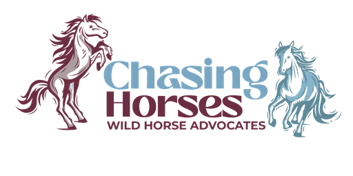Chasing Horses Wild Horse Advocates logo