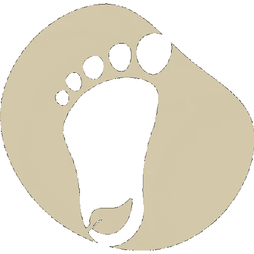Barefoot University logo