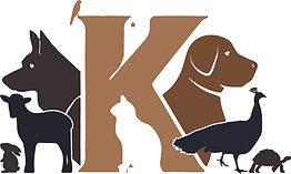 Kabul Small Animal Rescue logo