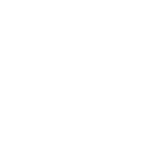 Wozu Inc logo