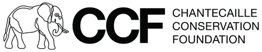 Chantecaille Family Foundation logo