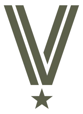 Veterans for All Voters logo